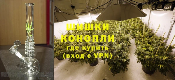 трава Алзамай