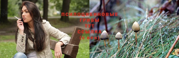 герыч Алексеевка