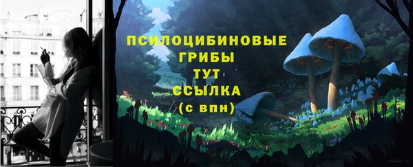 mix Алексин