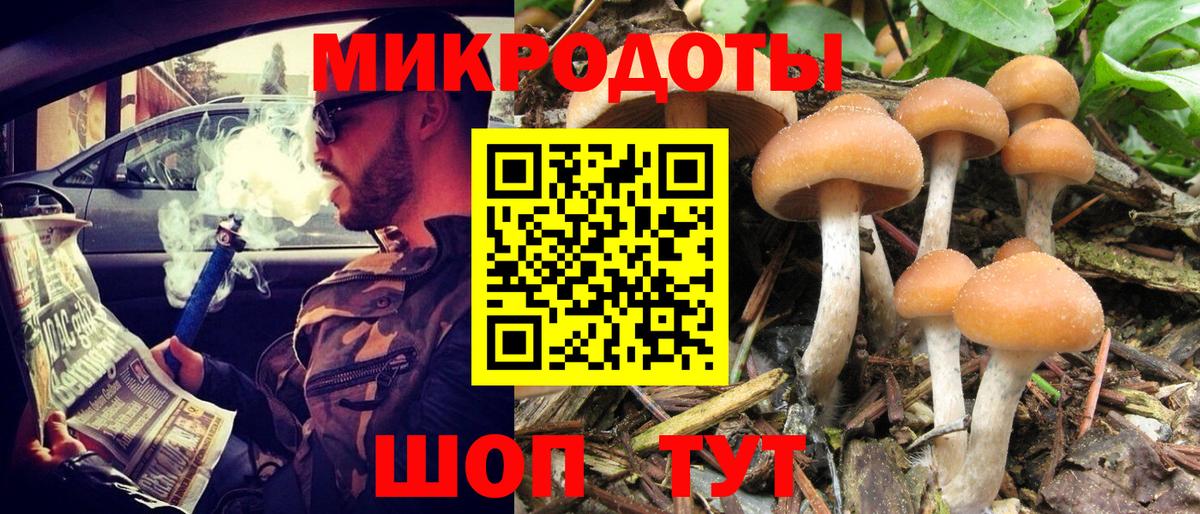 Владимир  Псилоцибиновые грибы мухоморы  Вход с VPN 